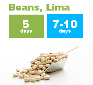 Beans Lima_new-01