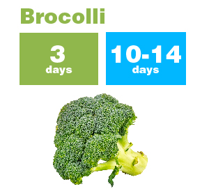 Brocolli_new-01