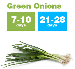 Green Onions_new-01