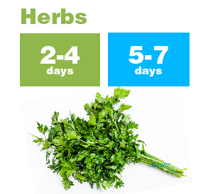 Herbs_new-01