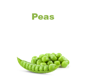 Peas-01