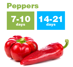 Peppers_new-01