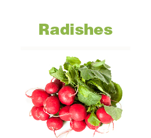 Radishes-01