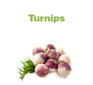 Turnips-01