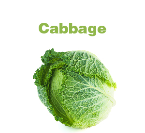 Cabbage-01