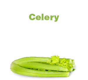 Celery-01