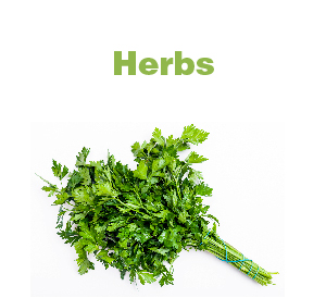 Herbs-01