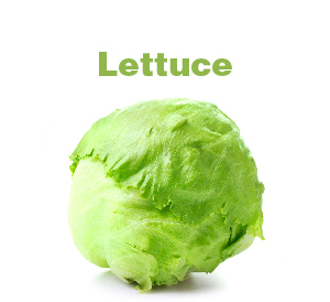 Lettuce-01