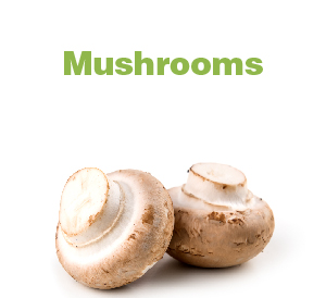 Mushrooms-01