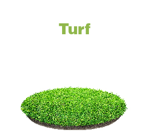 Turf-01