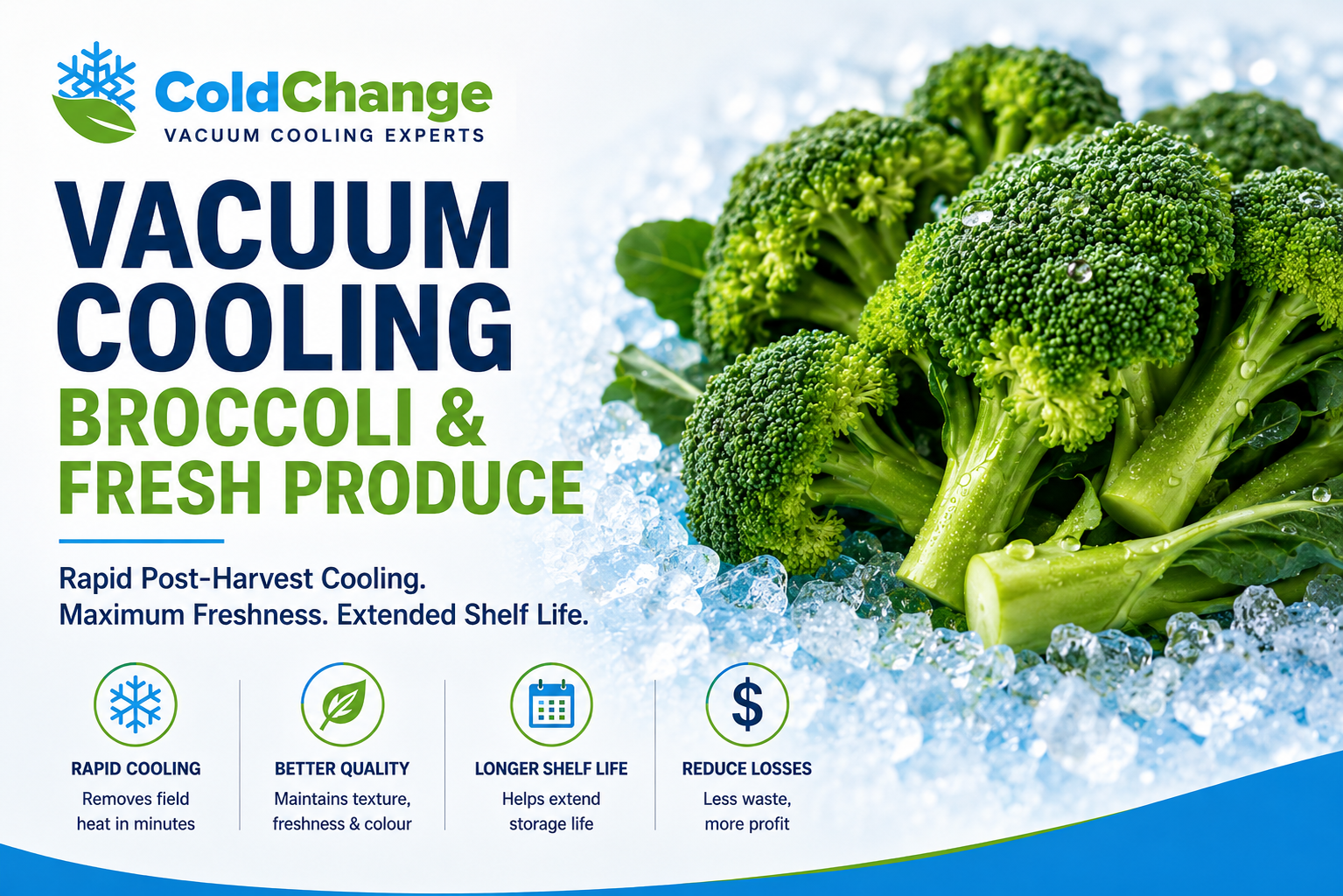 Vacuum Cooling Broccoli